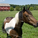 Farm Montville Duchek 5621
